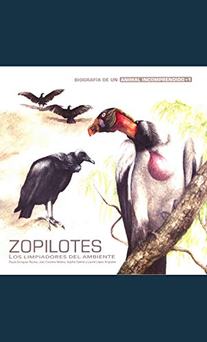 Zopilotes: Los limpiadores del ambiente (Biografía de un animal incomprendido nº 1)