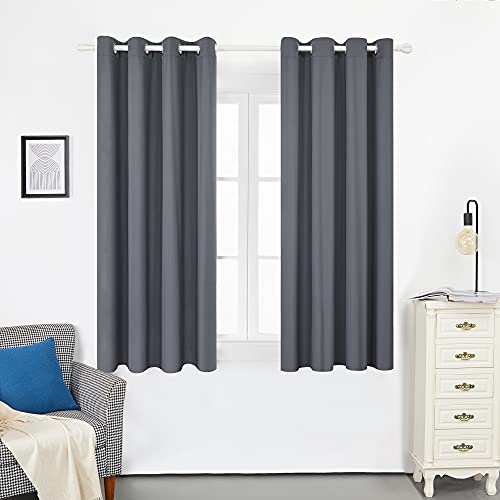 Deconovo Cortinas Termicas Aislantes Frio y Calor para Ventanas con Forro de Gris Plata 2 Paneles 117 x 138 cm Gris Oscuro