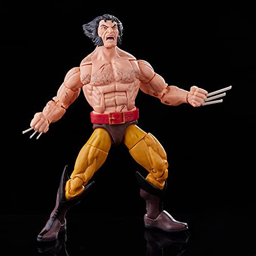 Marvel Legends Series Wolverine-Paquete de 5 Unidades, Incluye Omega Red, Cyber, Marvel'S Callisto, Jason Wyngarde, 13 Accesorios (Hasbro F11225S1)