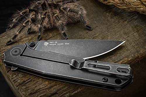 Ruike EDC Folding Knife, Black, Frame Lock, Stainless Steel