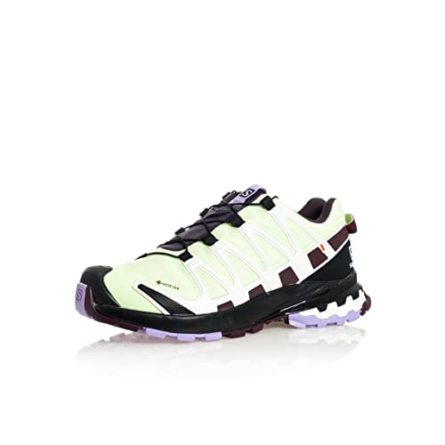 Salomon XA Pro 3D V8 Gore-Tex (impermeable) Mujer Zapatos de trail running, Verde (Patina Green/Wine Tasting/Lavender), 38 2/3 EU