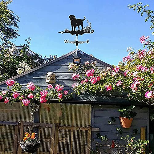 ZHJ Fácil Uso e Instalar Metal Tiempo en el Clima Adorno de la Granja Acero Inoxidable Home Tiempo meteorológico Vane Dirección del Viento Indicador, Herramienta de medición de jardín al Aire Libre -