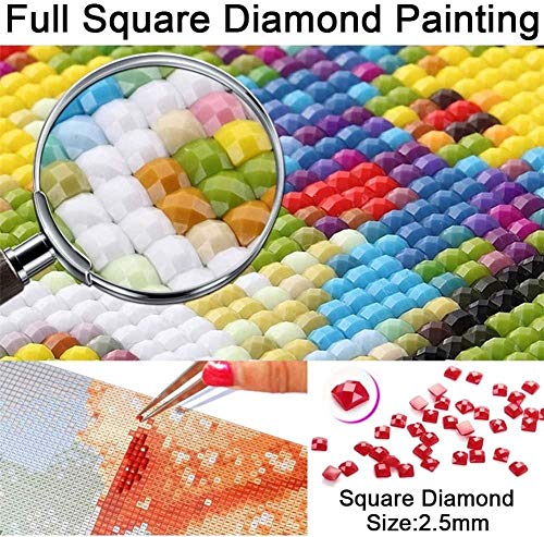 5D Diamond Painting Full Drill Black Swan Creek,Punto de Cruz Diamante 5d DIY, Cuadros Punto de Cruz Diamante Manualidades decoración de la Pared para el hogar -Square Drill,40x50cm