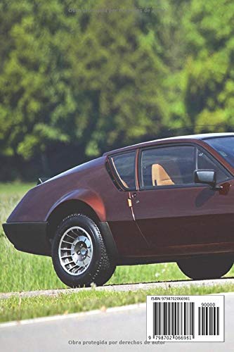 ALPINE A310: REGISTRO DE RESTAURACIÓN Y MANTENIMIENTO