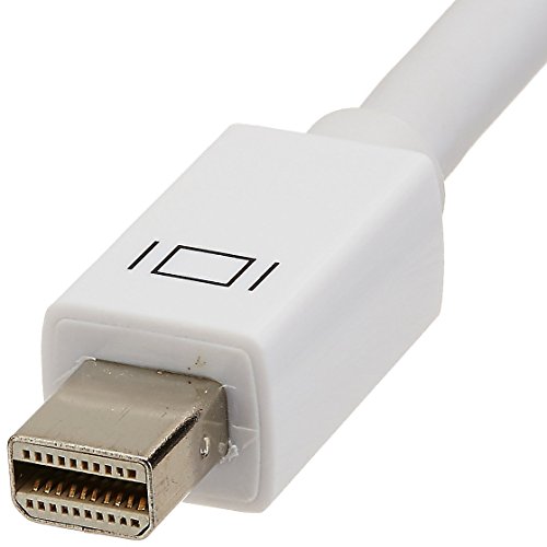 Amazon Basics - Adaptador de pantalla de Mini DisplayPort a VGA