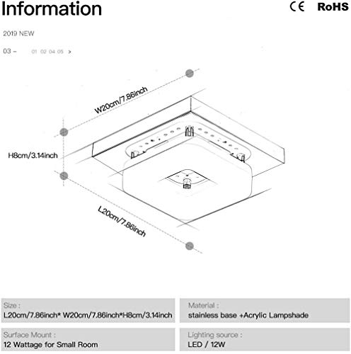 Artpad Montaje en superficie Cuadrado Lámpara de techo de acero inoxidable Base Pasillo Porche Balcón Lámpara Iluminación interior Techo Luz LED 12W Luz blanca