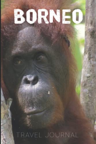 Borneo Travel Journal: 120 Lined Pages Notebook | 6 x 9 inches | Orangutan Close-Up In Borneo | Gift Idea For Travellers, Explorers, Backpackers, ... Book | Use as Diary, Journal or Notebook