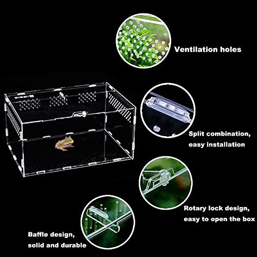 Braleto Caja de Alimentación de Insectos Reptiles para Arañas Lagartos Rana Cornuda Escorpión Escarabajo Milpiés (30cm*20cm*15cm)