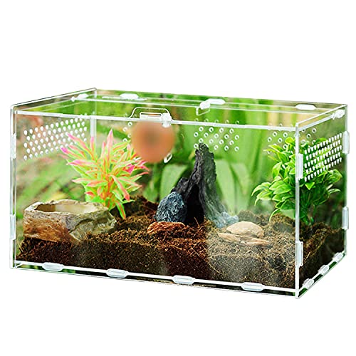 Braleto Caja de Alimentación de Insectos Reptiles para Arañas Lagartos Rana Cornuda Escorpión Escarabajo Milpiés (30cm*20cm*15cm)