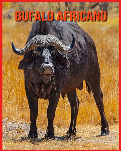 Bufalo Africano: Immagini incredibili e fatti sui Bufalo Africano