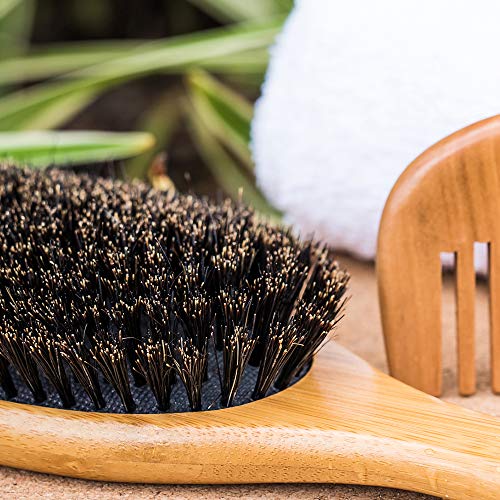 Cepillo de pelo de cerdas de jabalí MUY SUAVE con Peine de Madera. Hace que tu Cabello Sea Brillante y Sedoso con Esfuerzo Dedicado. Este Cepillo no Atraviesa el Cabello Fácilmente. No Antiestático