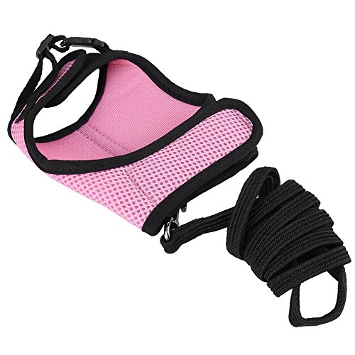 Conjunto de arnés y Correa para Animales pequeños, hámster reticular Entrenamiento para Caminar Cuerda Correa de Pecho para Conejo Ardilla Conejo Hurón(L-Rosado)