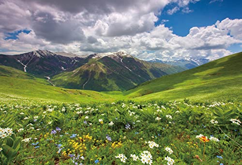 CSFOTO 1,5x1m Primavera Fondo por Fotografía Primavera Floral Montaña Prado Cielo Azul Nubes Paisajes Naturales Fondo Exterior Picnic Niños Adultos Foto Retrato Estudio Apuntalar