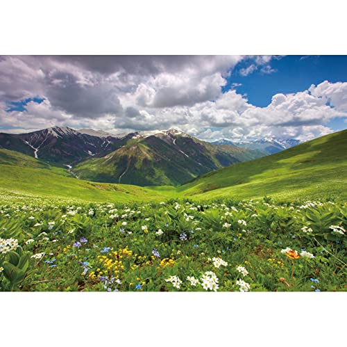 CSFOTO 1,5x1m Primavera Fondo por Fotografía Primavera Floral Montaña Prado Cielo Azul Nubes Paisajes Naturales Fondo Exterior Picnic Niños Adultos Foto Retrato Estudio Apuntalar