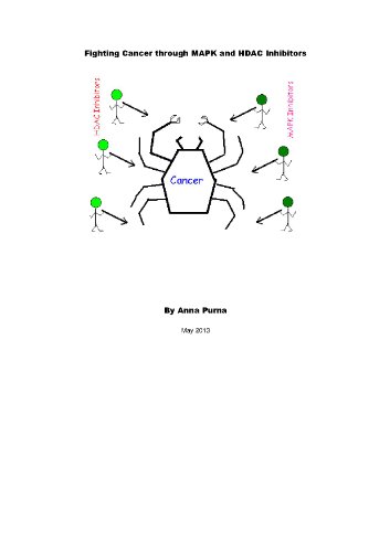 Fighting Cancer Through HDAC and MAPK Inhibitors (English Edition)