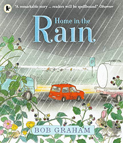 Home In The Rain [Idioma Inglés]