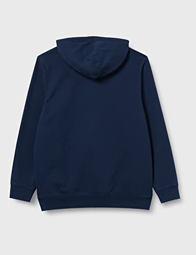 Levi's T2 Graphic Hoodie, Big BW Dress Blues-Sudadera con Capucha, XXL para Hombre