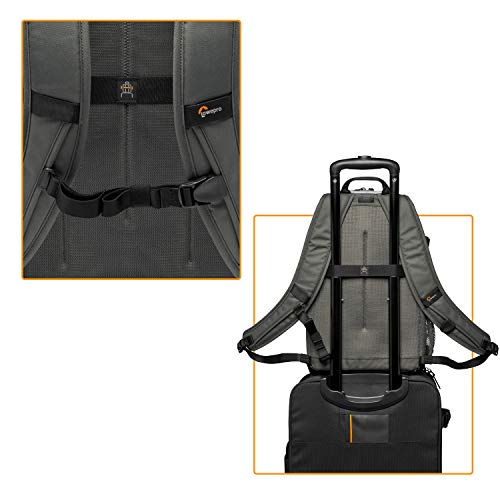 Lowepro LP37236-PWW - Mochila para cámara Ext. Truckee BP 200 LX, para Tablet 13", DSLR compacta/cámara sin espejo, Sony, Canon, Nikon, 1-2 objetivos, Gimbal, Dron, DJI, Osmo, Mavic, gris claro