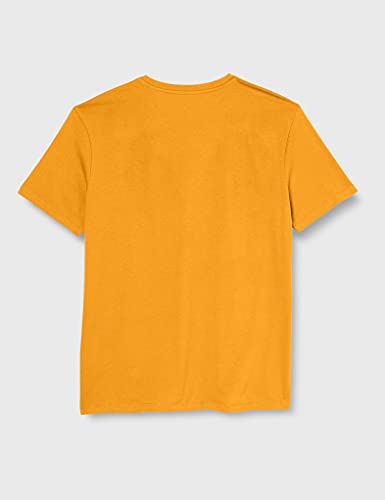 Millet - Script TS SS M - Camiseta Deportiva para Hombre - Transpirable - Aproximación, Escalada, Diario - Amarillo