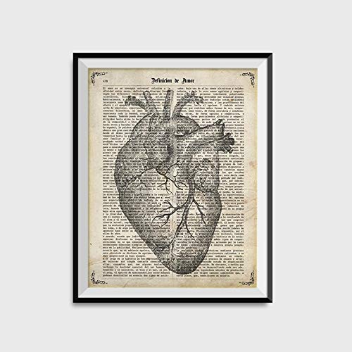 Nacnic Poster de Corazon anatomico. Láminas románticas de Amor con definiciones. Ilustraciones para tu Pareja, Familia, Mujer. Tamaño A4