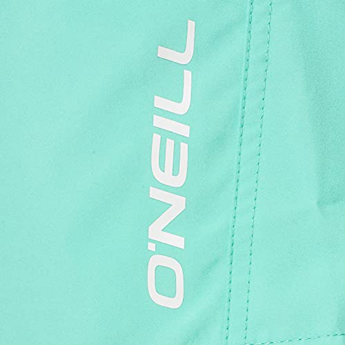 O'Neill Pm Sun&sea Shorts, Bañador para Hombre, Verde (6042 Spearmint), M