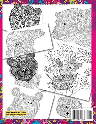 Oso grizzly - Libro de colorear para adultos