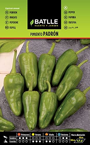 Pimiento PADRON