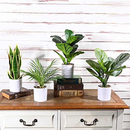 Plantas Artificiales Kazeila, 40 cm Monstera / Planta de Serpiente / Palma Areca / Planta de Rayas Verdes en Maceta para Interior Exterior casa hogar Oficina decoración Moderna (Juego de 4)