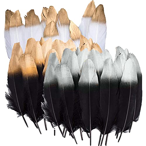 Plumas de Ganso,30PCS Plumas Manualidades Exquisito para Inicio Fiesta Ropa Decoracion