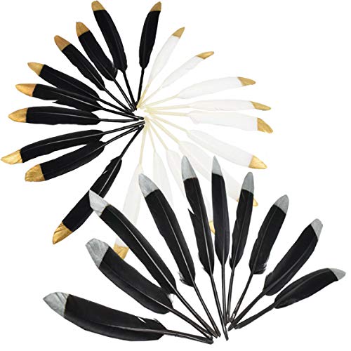 Plumas de Ganso,30PCS Plumas Manualidades Exquisito para Inicio Fiesta Ropa Decoracion