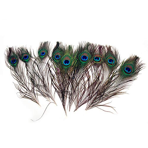 PPX 10 Piezas Plumas del Pavo Real con los Ojos Naturales Altas Plumas de Cola del Pavo Real de la Calidad para la Decoración, 25-30cm