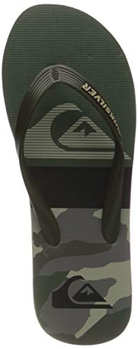 Quiksilver Molokai Panel, Chanclas Hombre, Verde y Negro, 40 EU