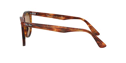 Ray-Ban 0RB2185 Gafas de Sol, Striped Havana, 52 Unisex