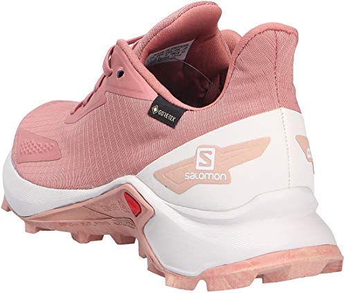 Salomon Alphacross Blast Gore-Tex (impermeable) Mujer Zapatos de trail running, Rojo (Brick Dust/Lunar Rock/Sirocco), 41 ⅓ EU