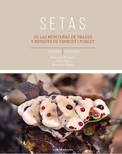 Setas de las montañas de Prades y bosques de Vimbodí y Poblet (Otros)