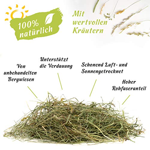 Sonnenberg Hof Heno 1 kg – Heno de pradera fresco, primer corte para conejos, cobayas, hámsters y roedores, heno de prado de montaña para animales pequeños