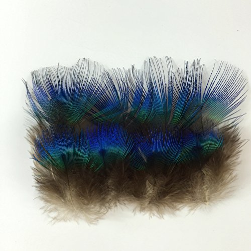 Sowder 50 plumas de plumaje de pavo real azul de 1-3 pulgadas decoración de boda del hogar