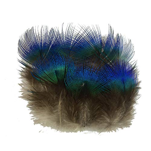 Sowder 50 plumas de plumaje de pavo real azul de 1-3 pulgadas decoración de boda del hogar