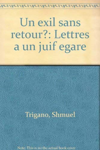 Un exil sans retour ?: Lettres à un juif égaré (Essais Documents)