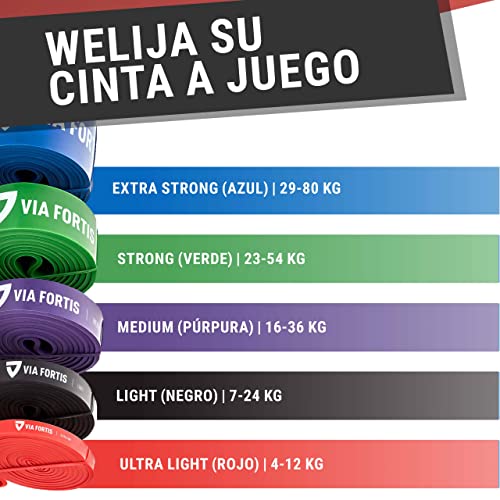 VIA FORTIS Banda Elástica de Resistencia Cuerda de Fuerza para Fitness, Crossfit, Pilates, Estiramientos| Incluye Bolsa de Transporte | 5 Niveles de Resistencia Diferentes (5 - Extra Strong (Azúl))