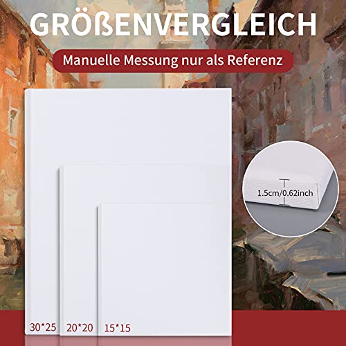 Viesap 6 Pcs Lienzos Preestirados, Con 2 Paleta de Colores, 100% Algodón, 3 Tamaños 30x25, 20x20, 15x15, Lienzos en Blanco Para óleo, Acrílicos y Acuarelas, Para Artistas Profesionales, Aficionados.