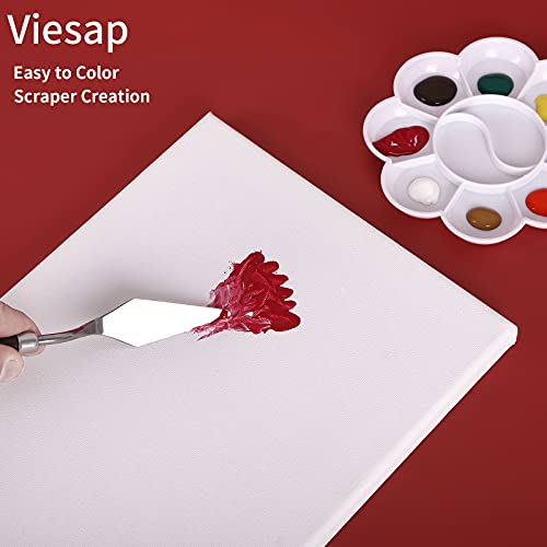 Viesap 6 Pcs Lienzos Preestirados, Con 2 Paleta de Colores, 100% Algodón, 3 Tamaños 30x25, 20x20, 15x15, Lienzos en Blanco Para óleo, Acrílicos y Acuarelas, Para Artistas Profesionales, Aficionados.