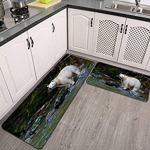 2 Piezas Alfombrillas de Cocina,Osos kermode cazando salmones en Canadas Bear Rainforest Antideslizante Alfombra para Puerta de Baño Juego de alfombras Cocina Lavables