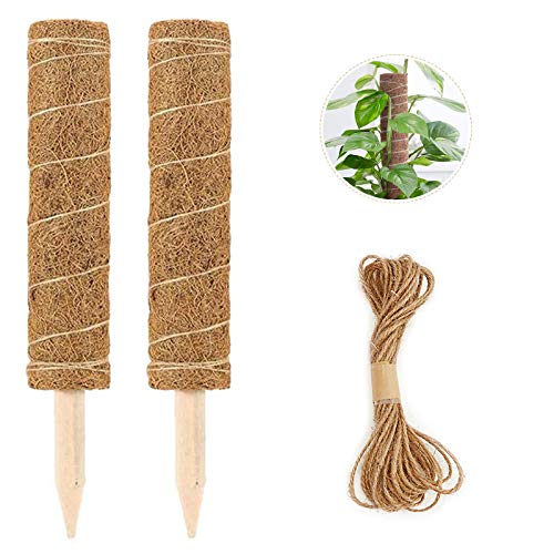 2pcs 30cm Palo de Tótem de Coco Palo de Musgo de Coco, Tótem de Musgo de Coco con 5m Cuerda de Cáñamo, Plantas trepadoras de Fibra de Coco para Enredadera, Planta de Dinero, Monstera y Hiedra