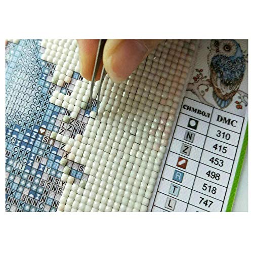 5D DIY diamante pintura bordado dibujo-hipopótamo diente canino colmillos animales enojados -40 * 50 CM Regalo de costura Mosaico de diamantes completo Punto de cruz Decoración para el hogar"