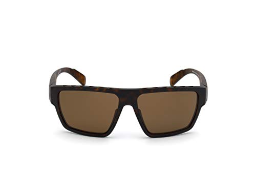 adidas SP0008 Gafas, Dark Havana/Brown Polarized, 61 para Hombre