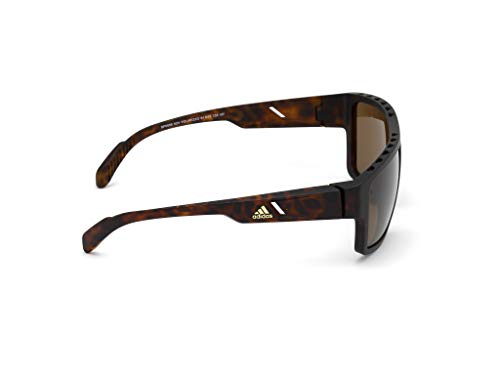 adidas SP0008 Gafas, Dark Havana/Brown Polarized, 61 para Hombre