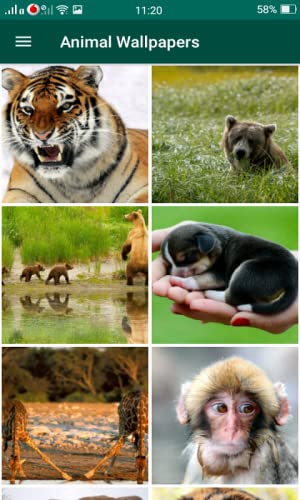 Animal Wallpapers