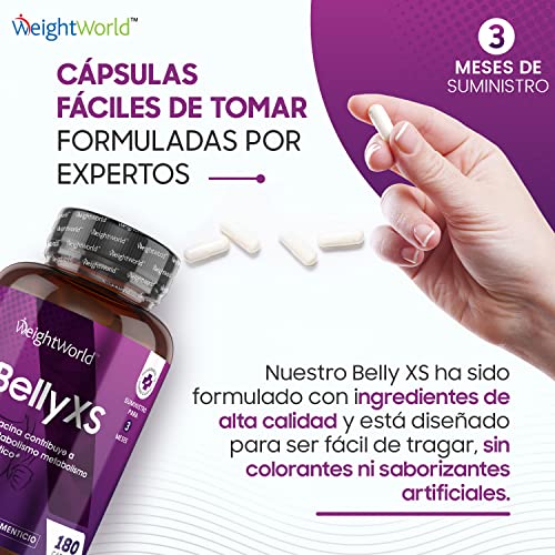 Belly XS 180 Cápsulas Veganas Keto Actives - Suplemento Dietético para Hombres y Mujeres con Té Verde, Garcinia Cambogia, Vinagre De Manzana, Cromo, Niacina, Zinc, Cromo, Suministro para 3 Meses