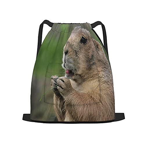 BohoMonos Mochila deportiva con cordón,Perro de la pradera sentado en posición verti, Gym Sackpack para Hombres Mujeres Niños Yoga Travel Camping String Bag.